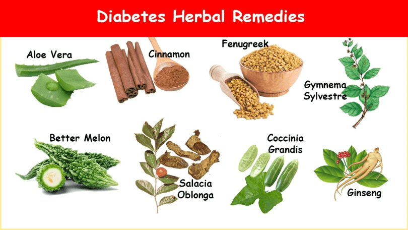 Medicinal Herbs - natural remedies for diabetes