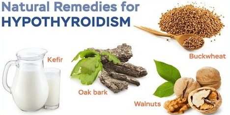 Thyroid - Natural Remedies for Hypothyroidism - Philadelphia Holistic ...