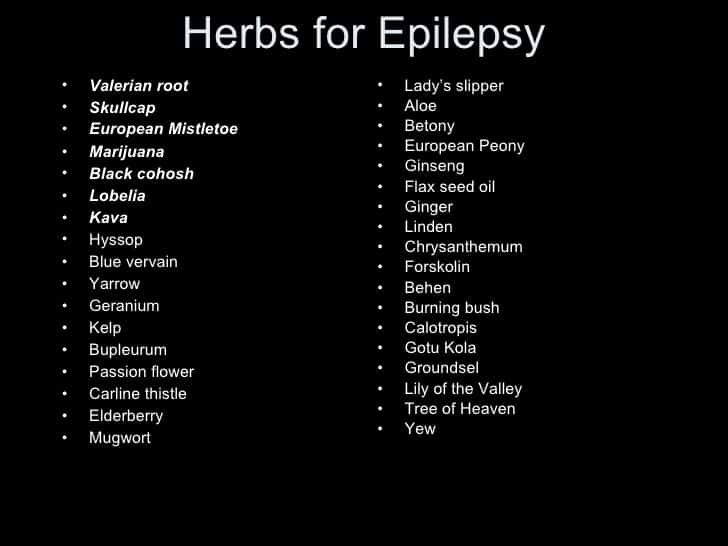 Herbal medicine for epilepsy