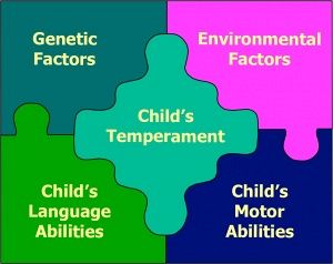 stuttering causes stutter intervention concepts guidance current treatment ceus asha slp