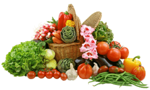 Meniere's disease diet - Philadelphia Holistic Clinic