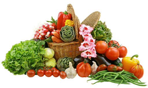 Healthy diet - essential part of natural treatment for Meniere's diseases