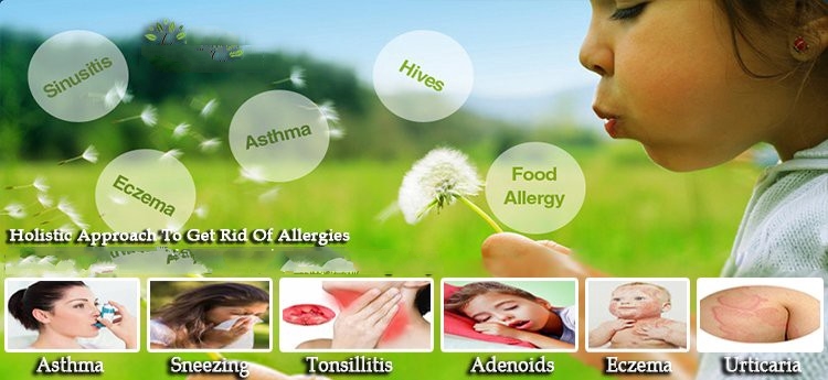 homeopathic medicines for allergy