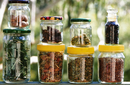 Herbs for pneumonia