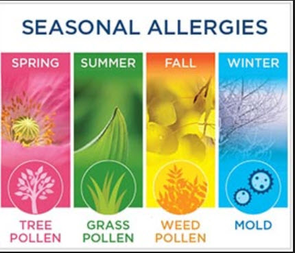 Seasonal Allergies