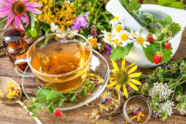 Herbs for incontinence