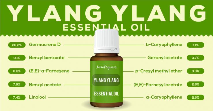 Ylang Ylang