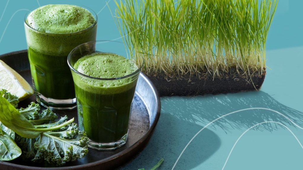 Wheatgrass juice for kidney stones