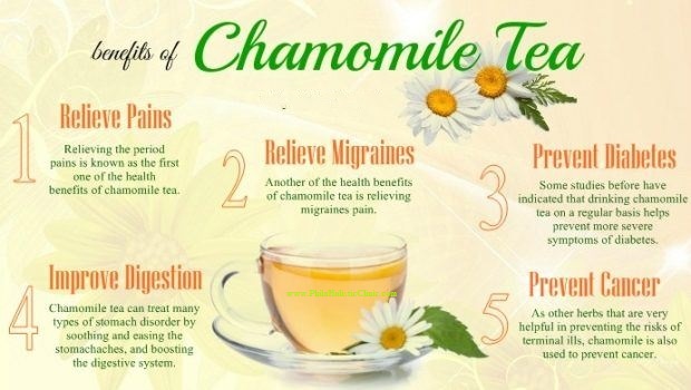 Benefits of Chamomile