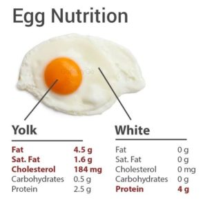 Amount of cholesterol in eggs