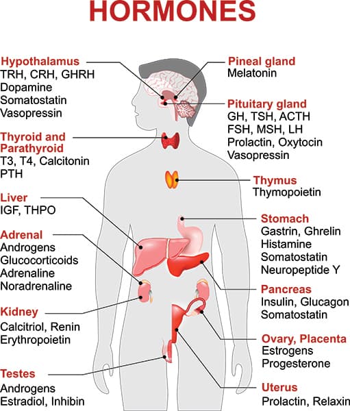 Causes of hormonal imbalances