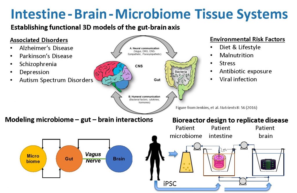 Neurological conditions related to Gut