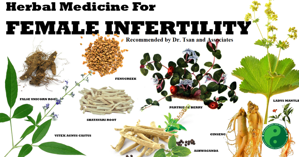 Herbal medicines for infertility in women