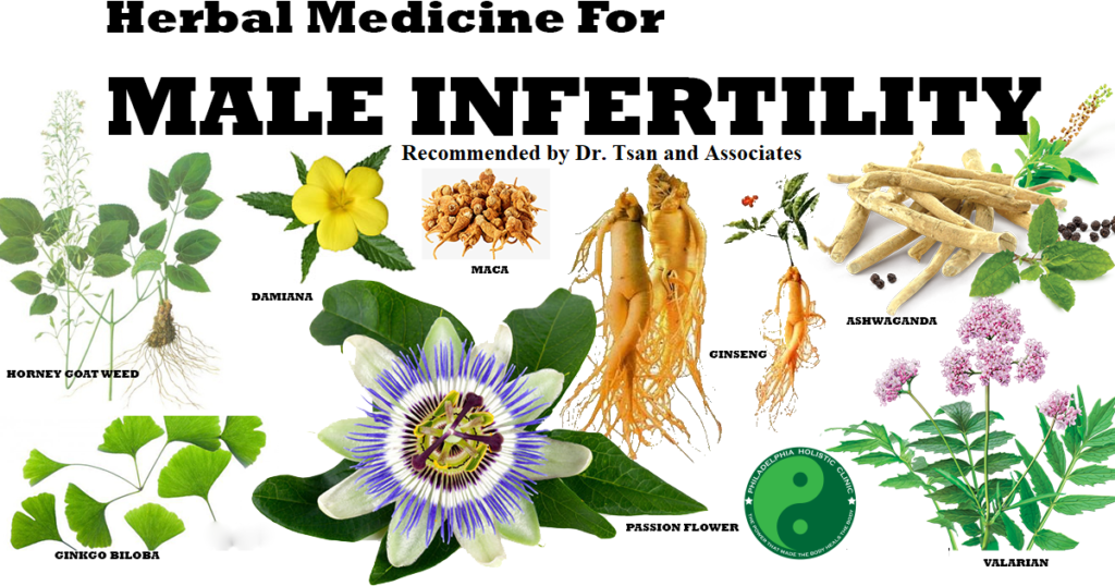 Herbal medicines for infertility in men