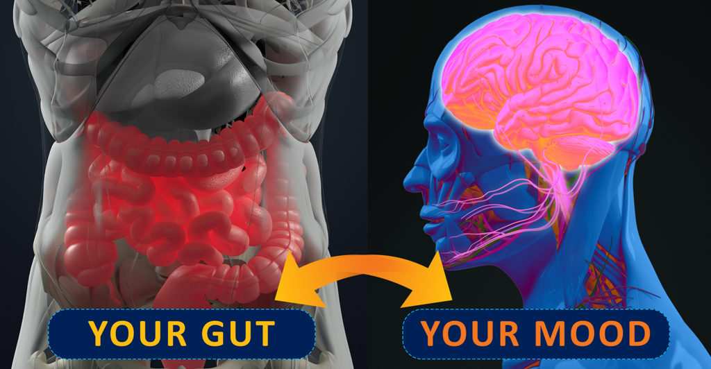 Your Gut - Your mood