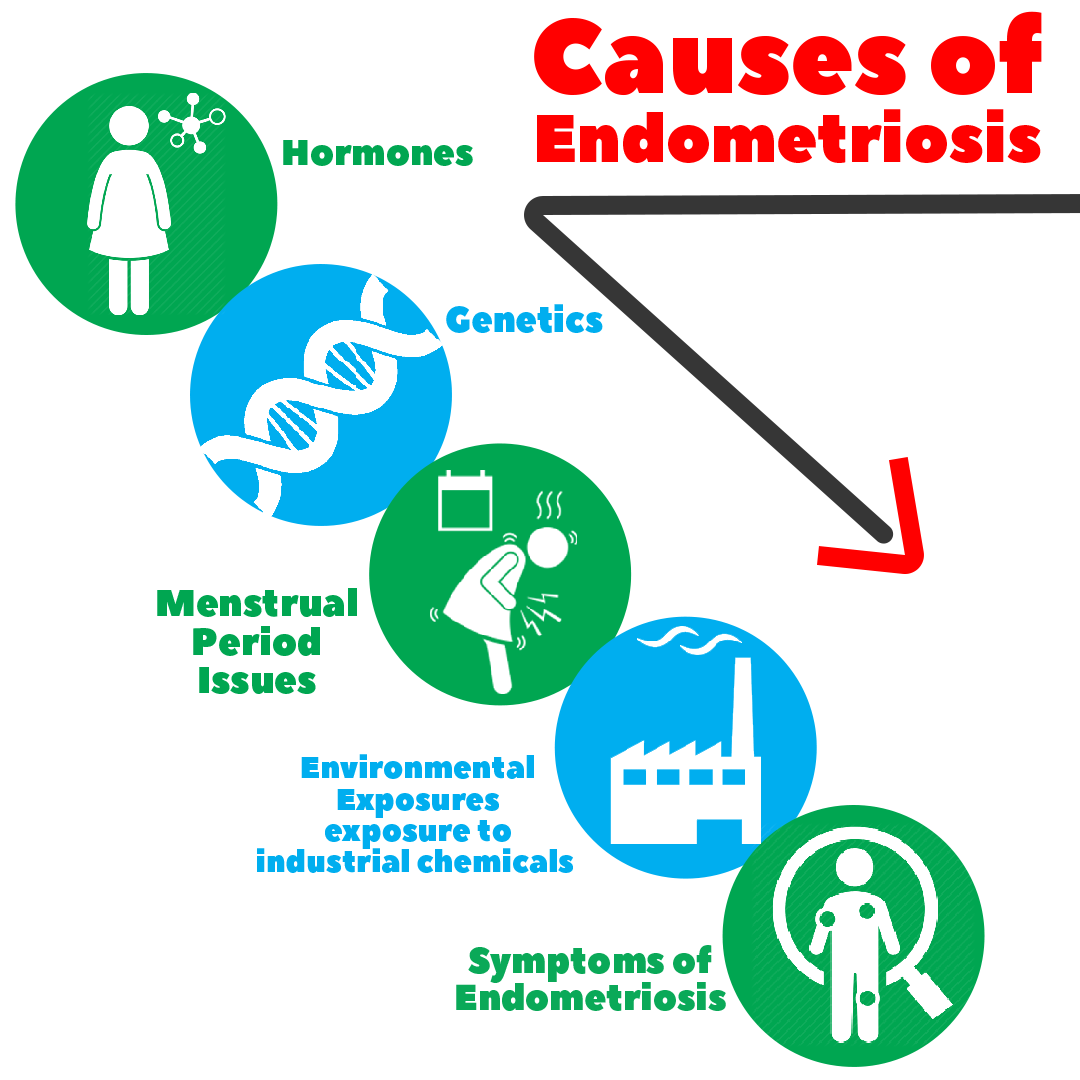 Treatment for Endometriosis Philadelphia Holistic Clinic Dr. Tsan & Co