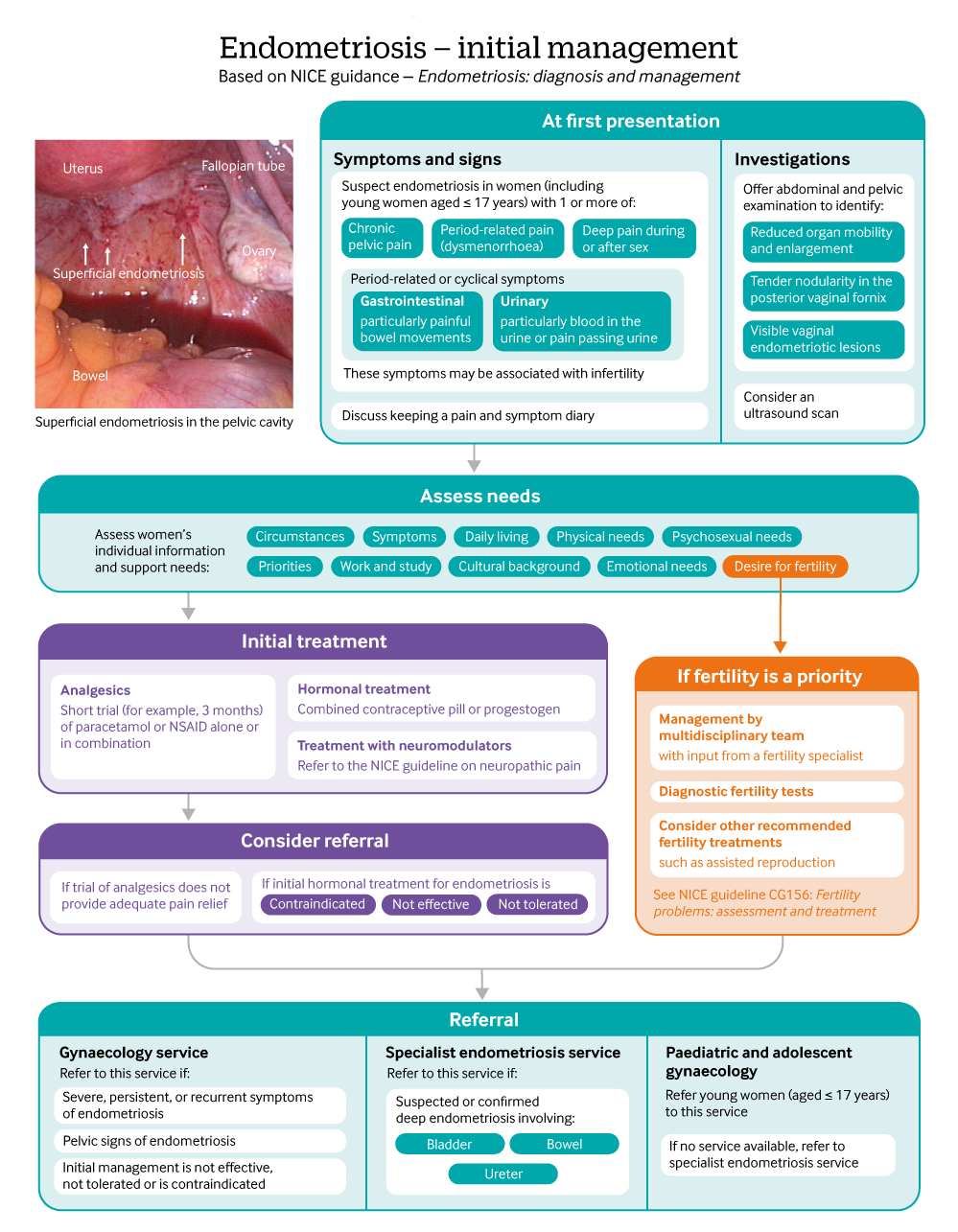 Endometriosis Diagnosis And Management - Philadelphia Holistic Clinic