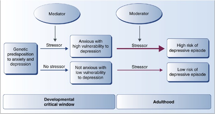 Genetic component of the Generalized Anxiety Disorder