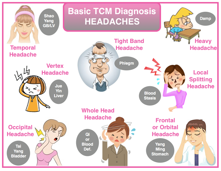 Traditional Chinese Medicine Diagnostic