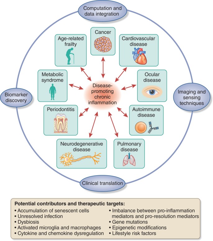 Inflammation cycle