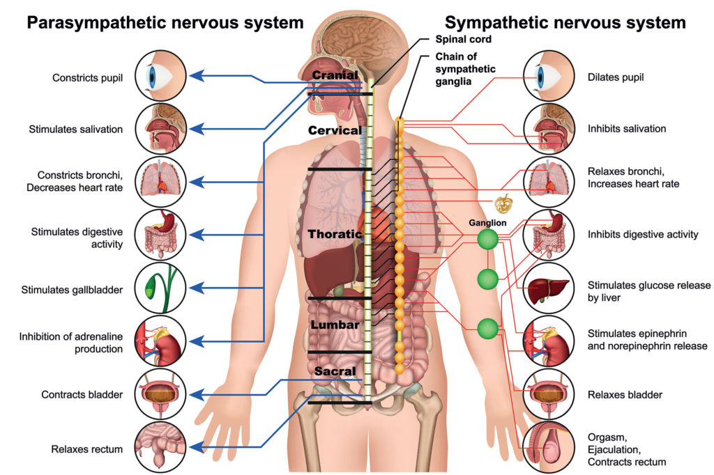 Symptoms of neuropathy