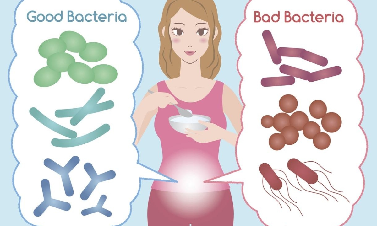 Probiotic improve gut microbiome