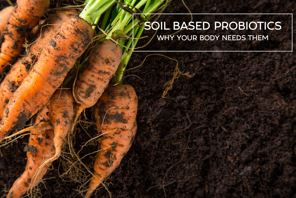 Soil-Based Probiotic great remedy for gut microbiomes