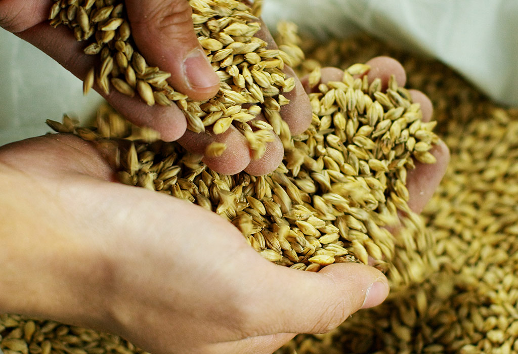 Barley for hemorrhoid diet