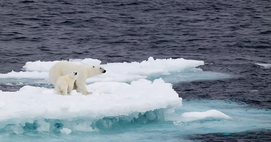 Climate Changes