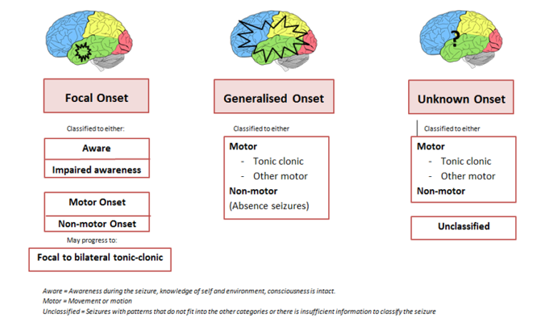 Types of Seizures