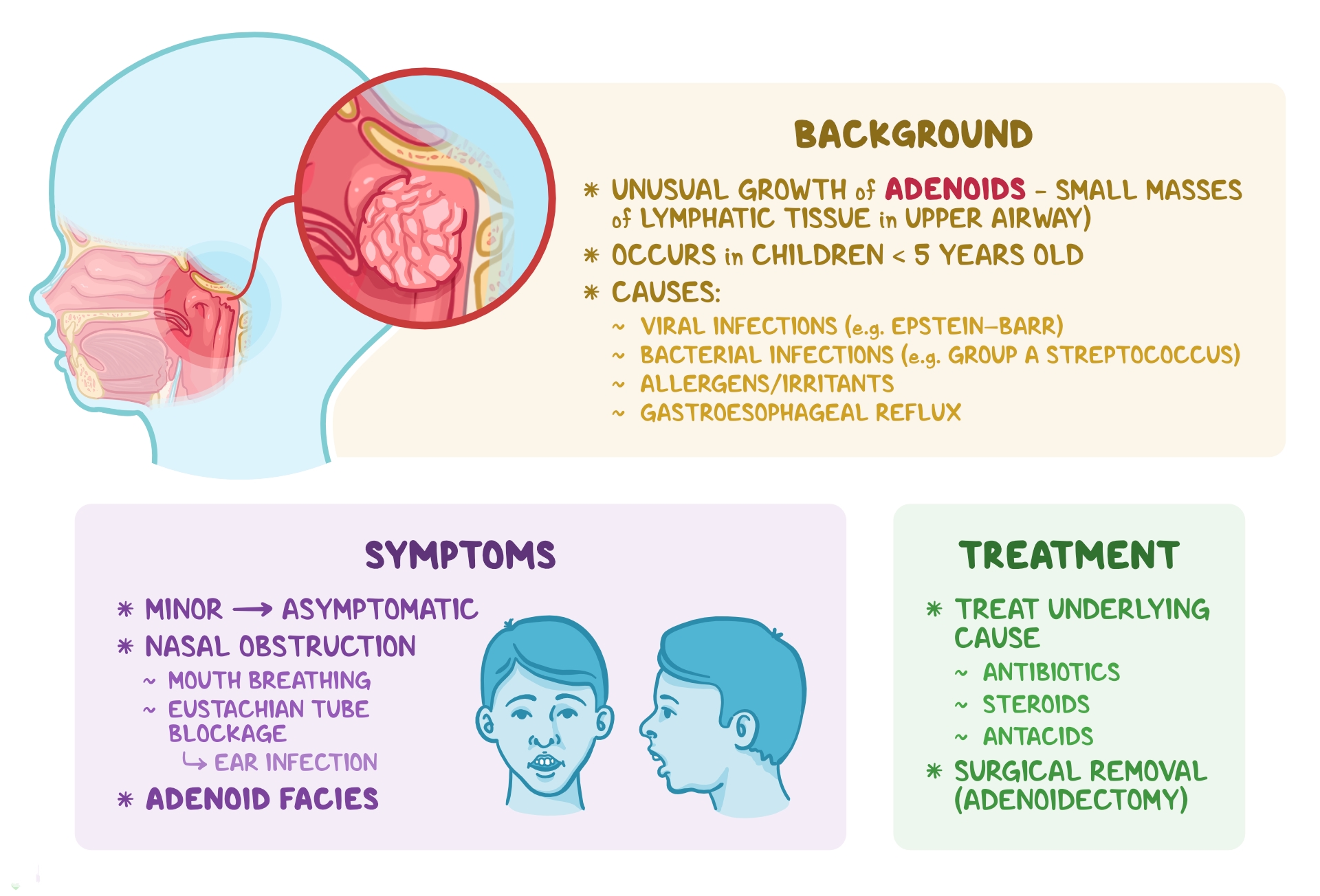 natural-treatment-for-adenoids-philadelphia-holistic-clinic-dr-tsan