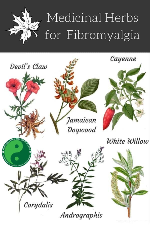 Medicinal herbs