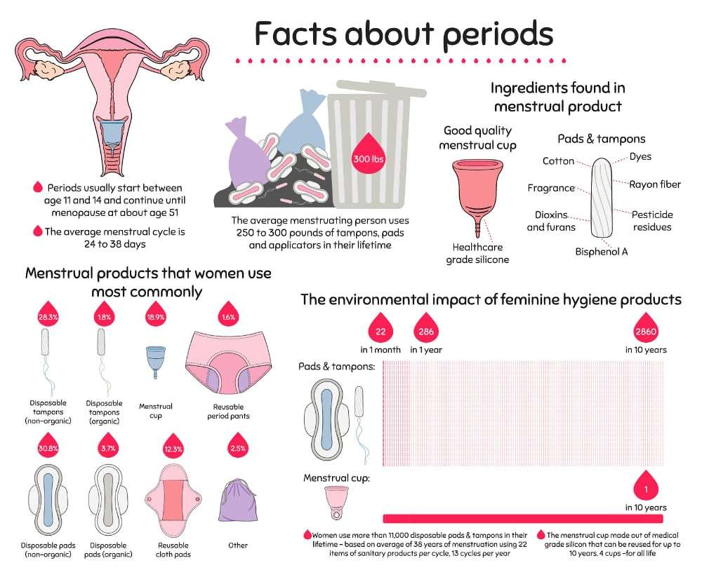 Normal Or Irregular Menstrual Cycle 