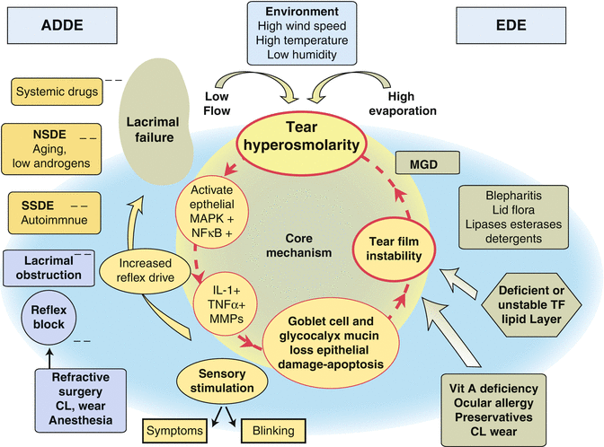 Types of dry eyes