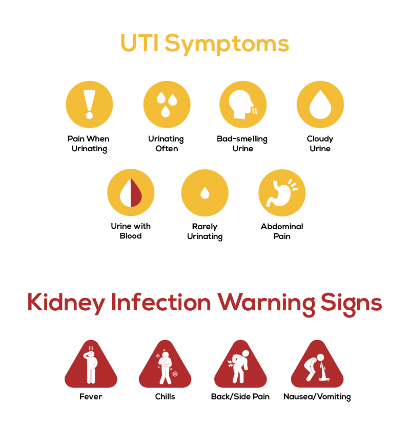 Kidney Infections Treatment Philadelphia Holistic Clinic Dr Tsan 