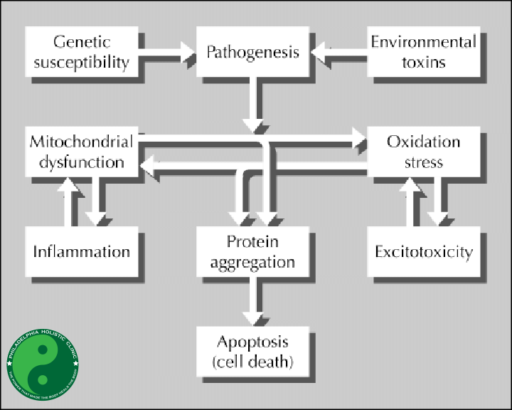 Causes of Parkinsons disease