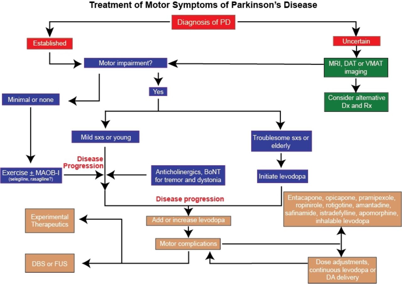 Parkinson's disease treatment of motor symptoms