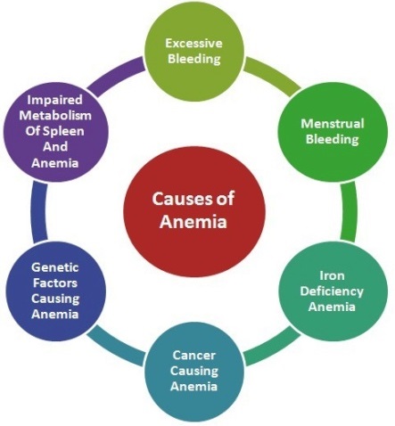 Causes of anemia