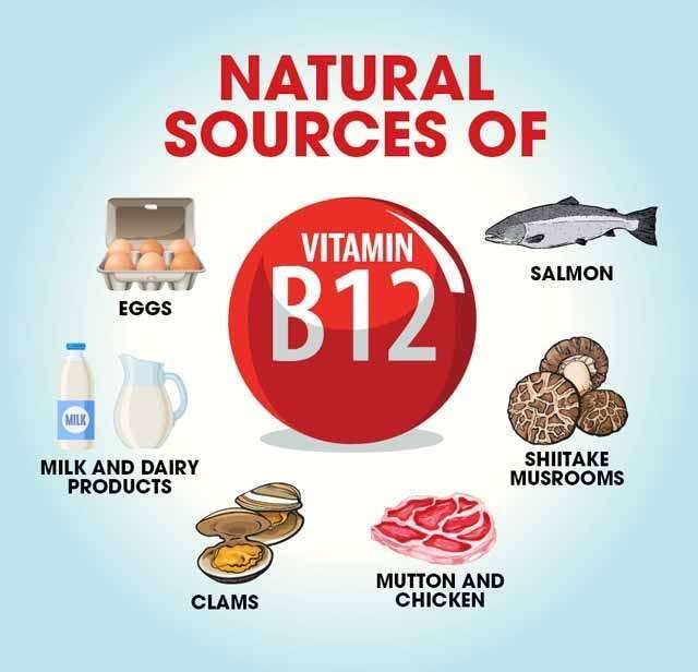 Food rich in Vitamin B12