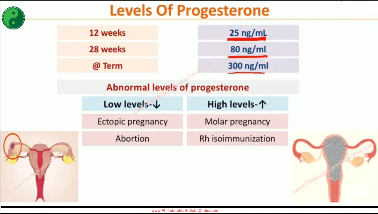 Progestine Therapy