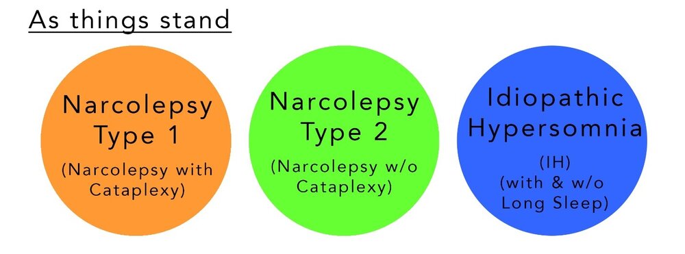 Types of narcolepsy