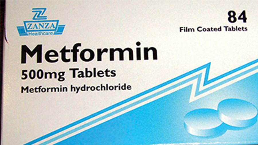 Metformin 