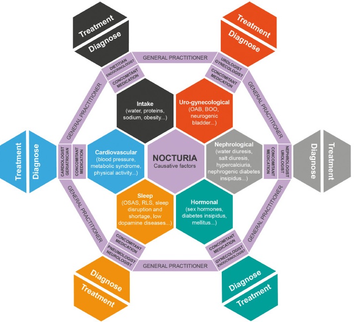 Nocturia and Polyuria