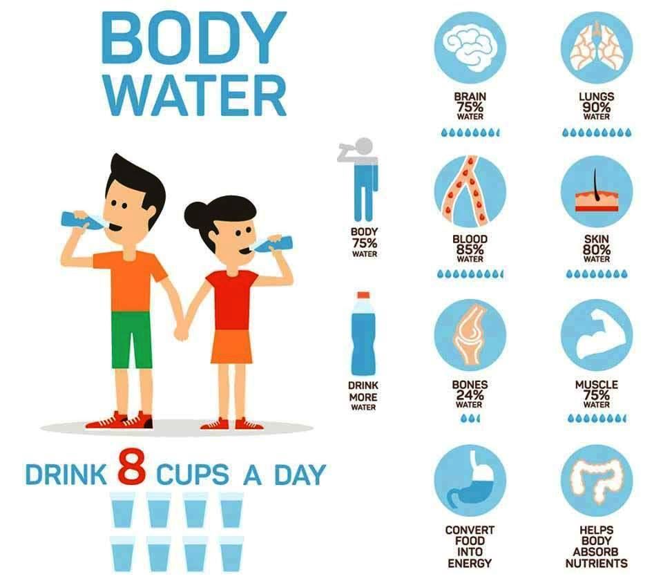 Why you need to drink water