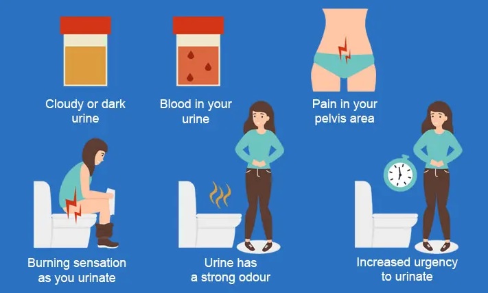 Urinary Tract Infections in Women