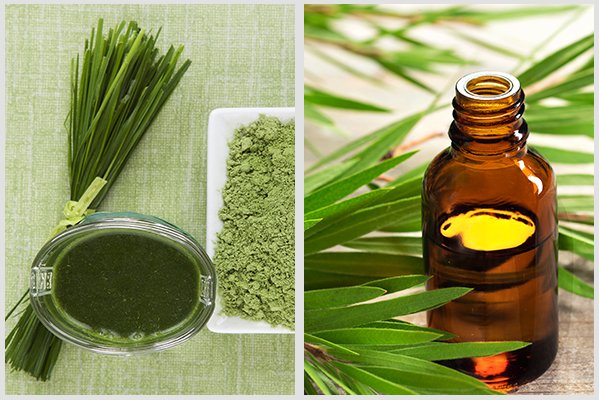 Natural treatment for bad body odors
