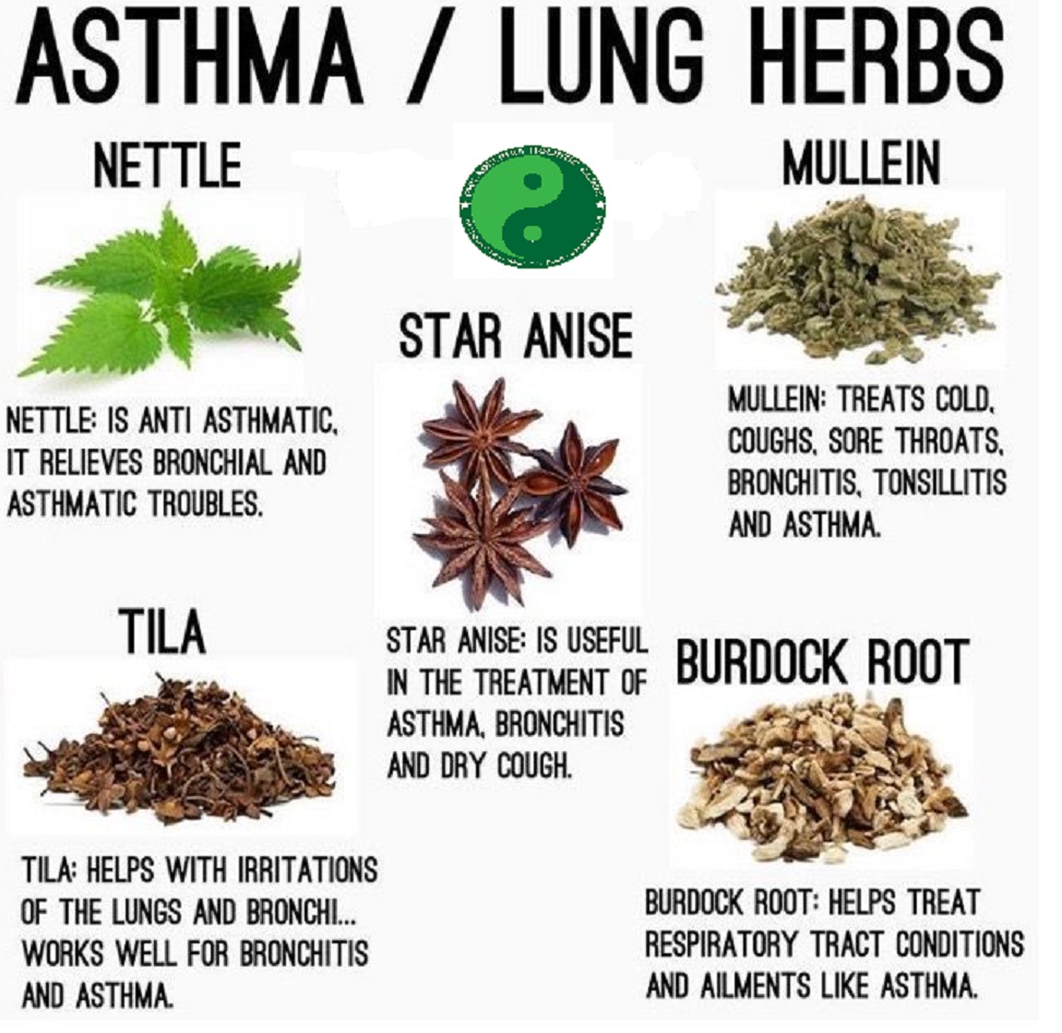 Herbal remedies for asthma
