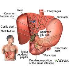 Gallbladder Dyskenesia