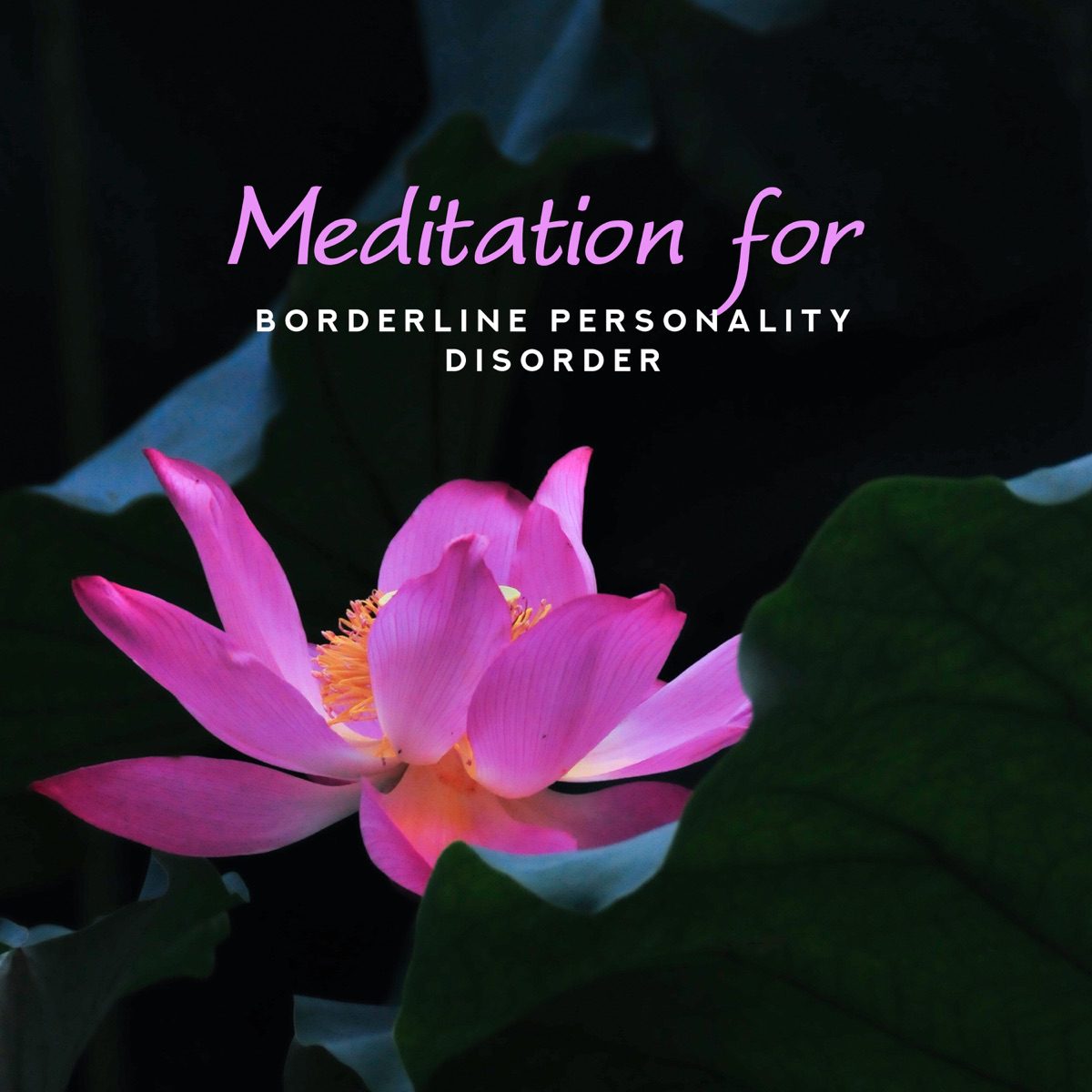 Meditation for BPD