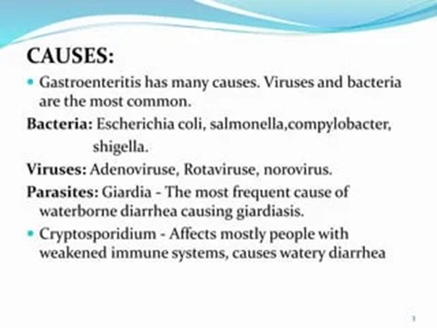 Gastroenteritis causes